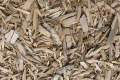 biomass boilers Cowlairs